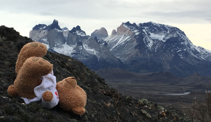 Victor Teddy Bear in Patagonia, Chile