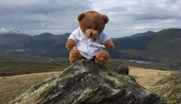 Victor Bear on Mount Snowdon