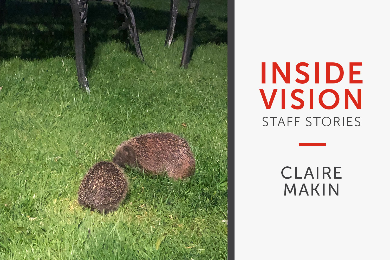 inside vision claire makin