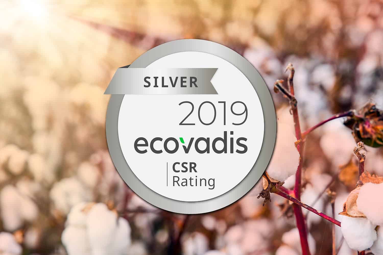 silver ecovadis rating for vision